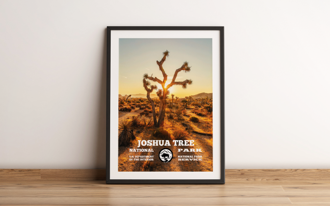 Joshua Tree Print Poster