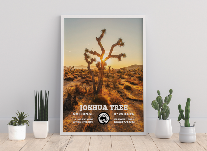 Joshua Tree Print Poster
