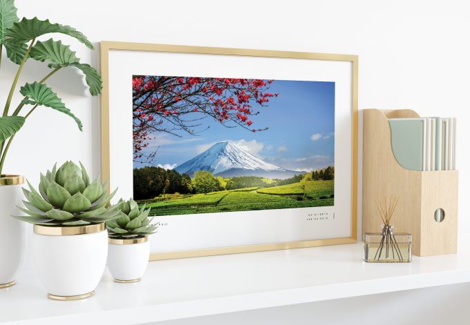 Mount Fuji Coordinates Poster Print Wall Art