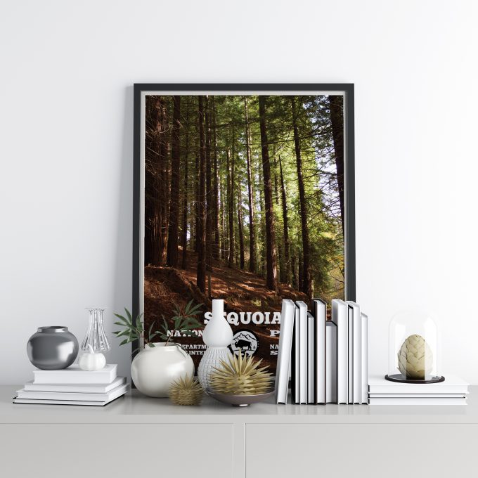 Sequoia Forest Print Poster