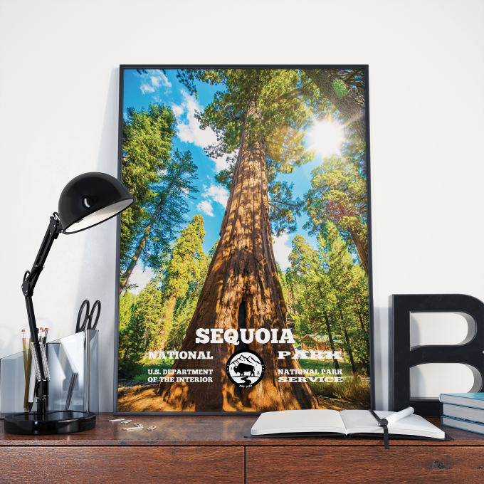 Sequoia Forest Print Poster