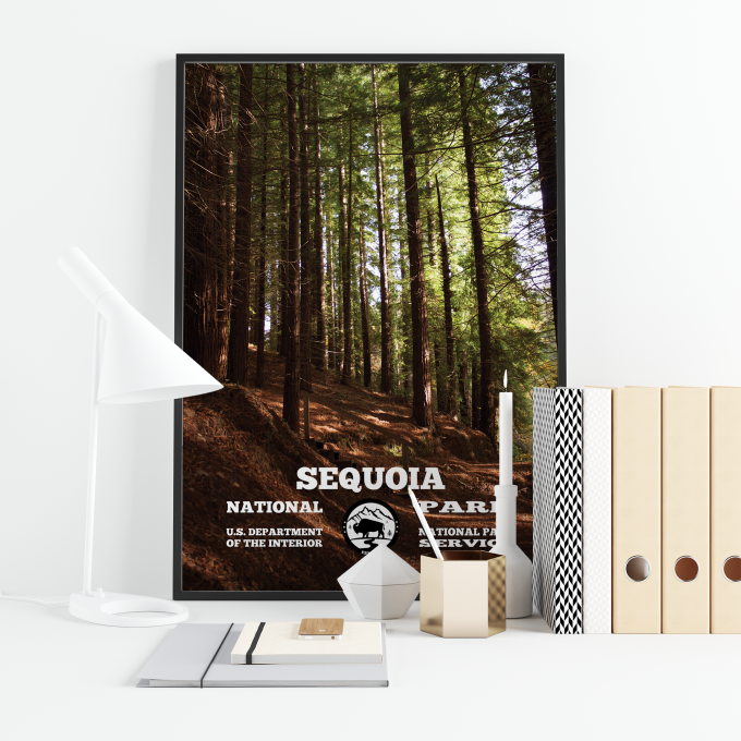 Sequoia Forest Print Poster