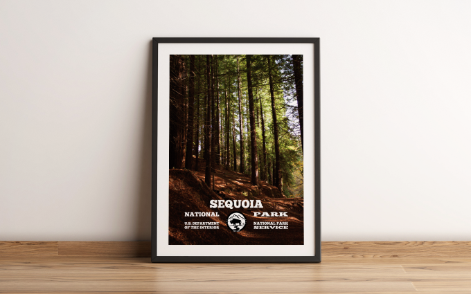 Sequoia Forest Print Poster