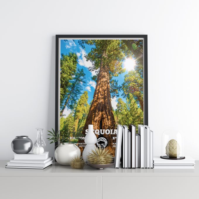 Sequoia Forest Print Poster