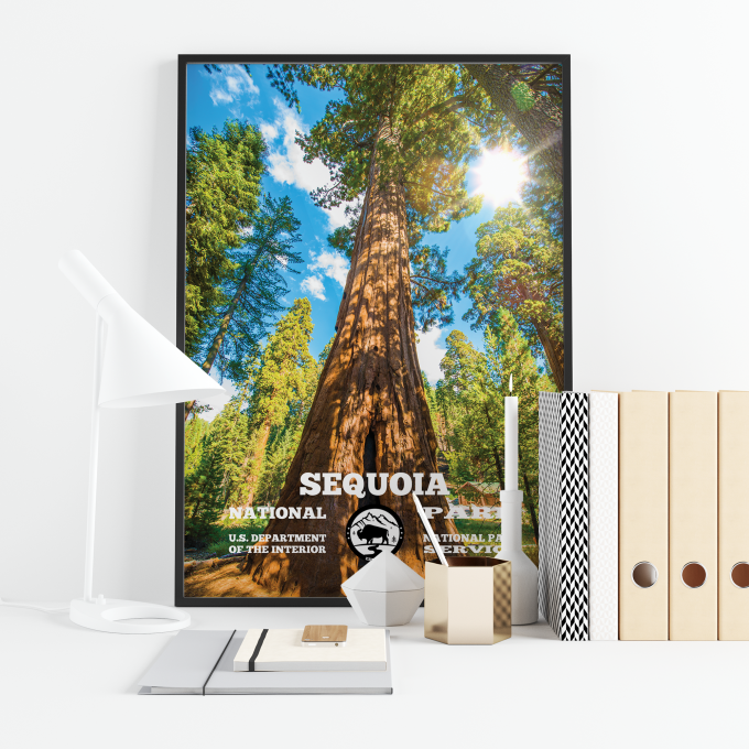 Sequoia Forest Print Poster