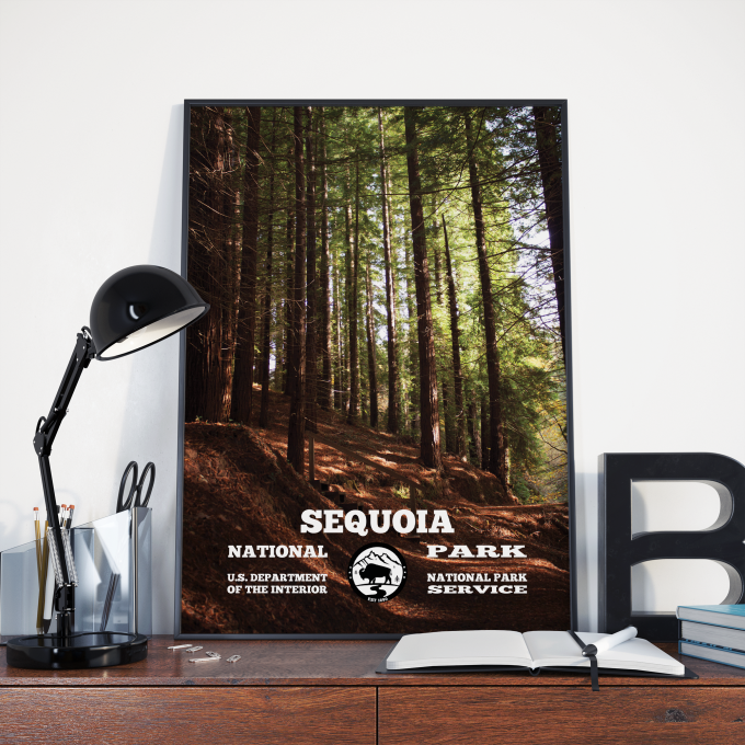 Sequoia Forest Print Poster