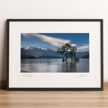 Wanaka Tree Print Poster Wall Art